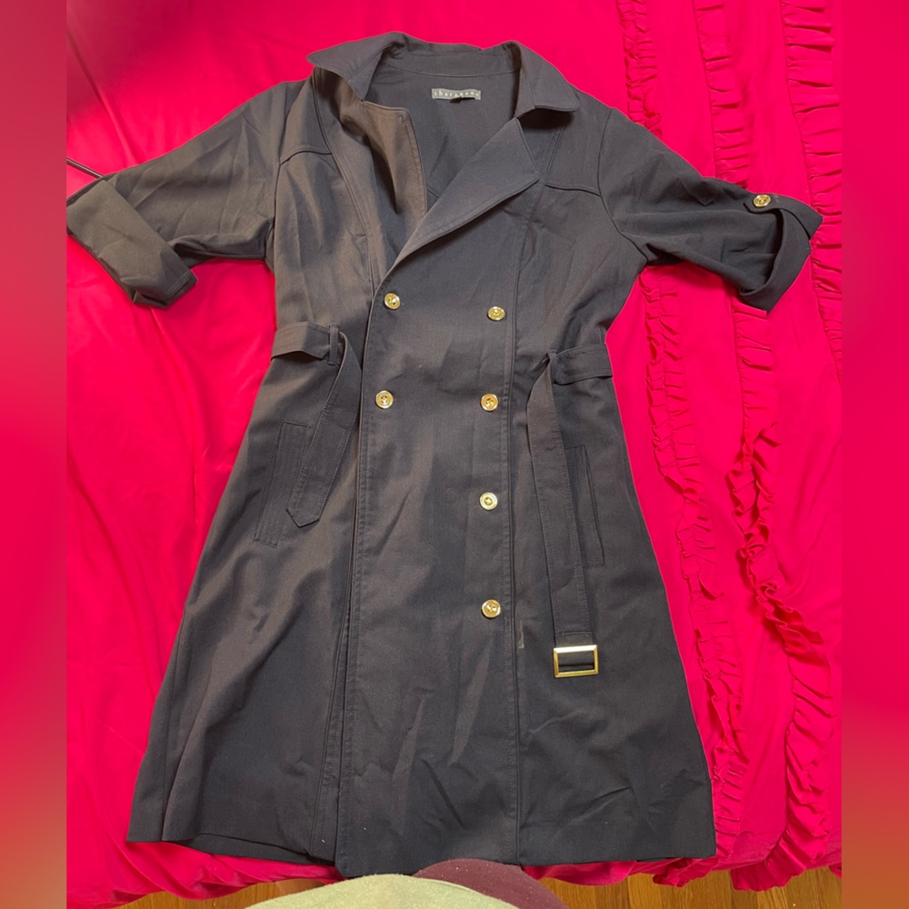 Sharagano dress